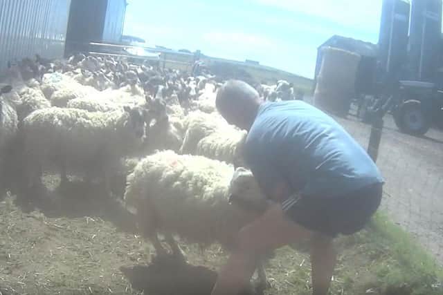 William Brown pleaded guilty to animal abuse at the farm near Penicuik. Pic: SSPCA