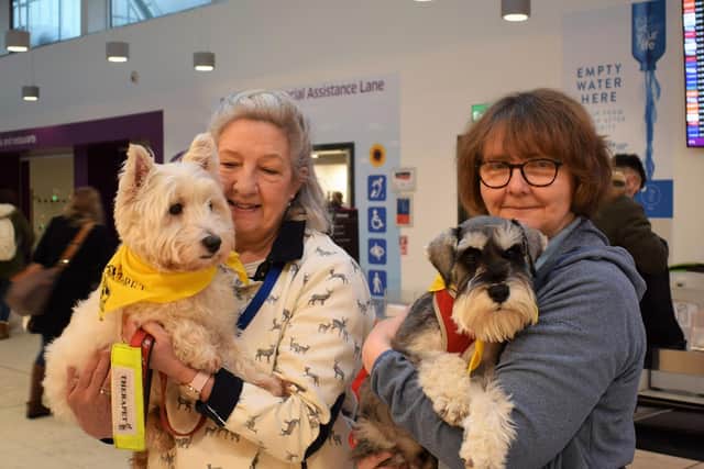 The dogs are from charity Canine Concern.