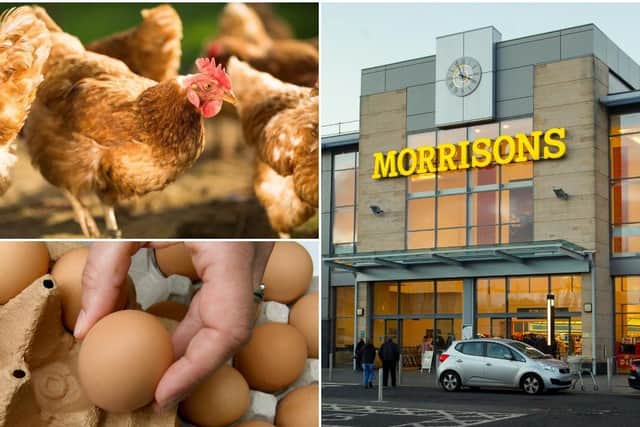 Morrisons put all their eggs in the free-range basket picture: JPI Media